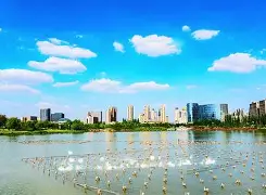 游体育官网-V,?棨5@粶拥?x詁2M=CA的简单介绍